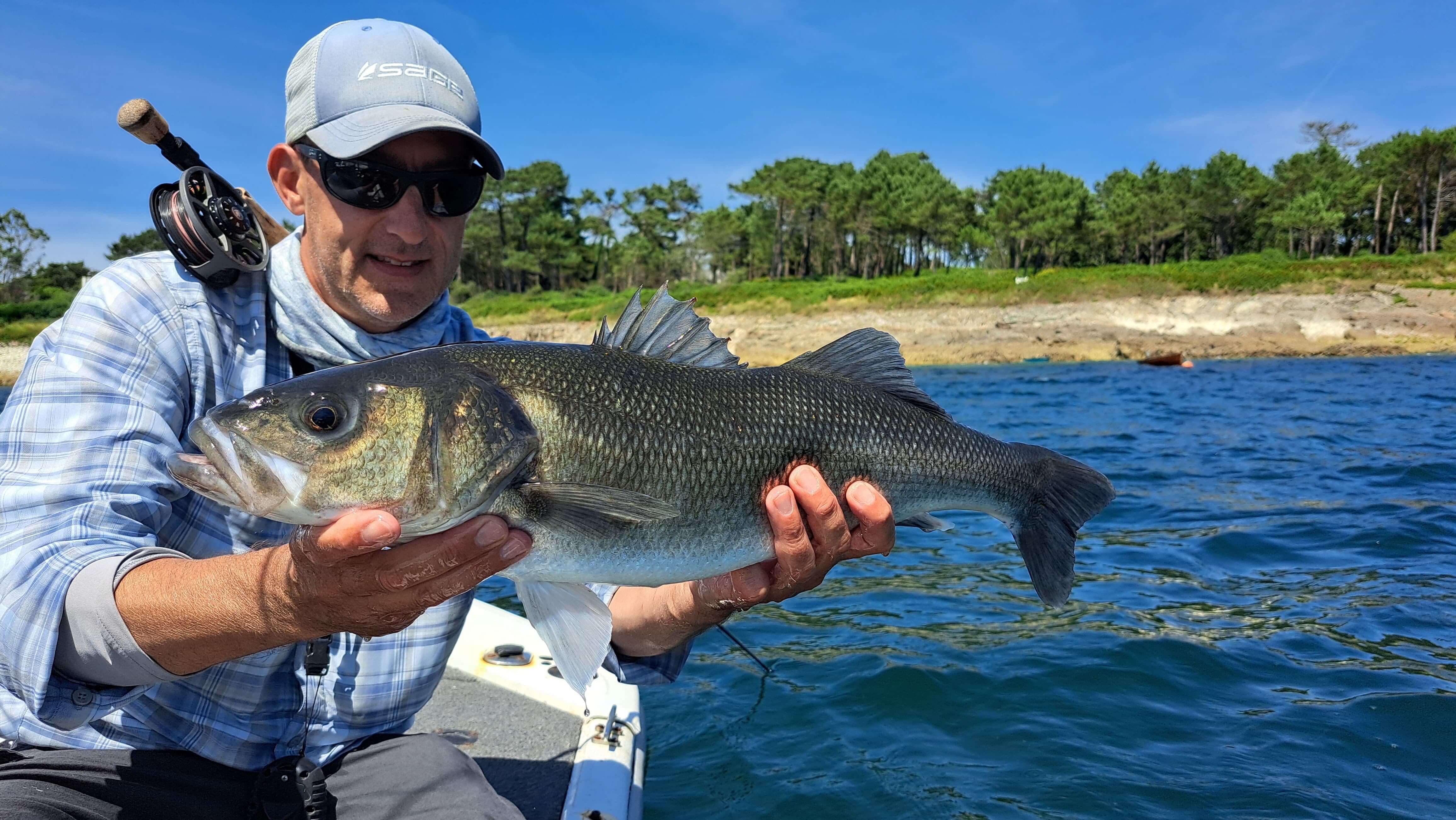 Fishing seabass by boat Brittany France