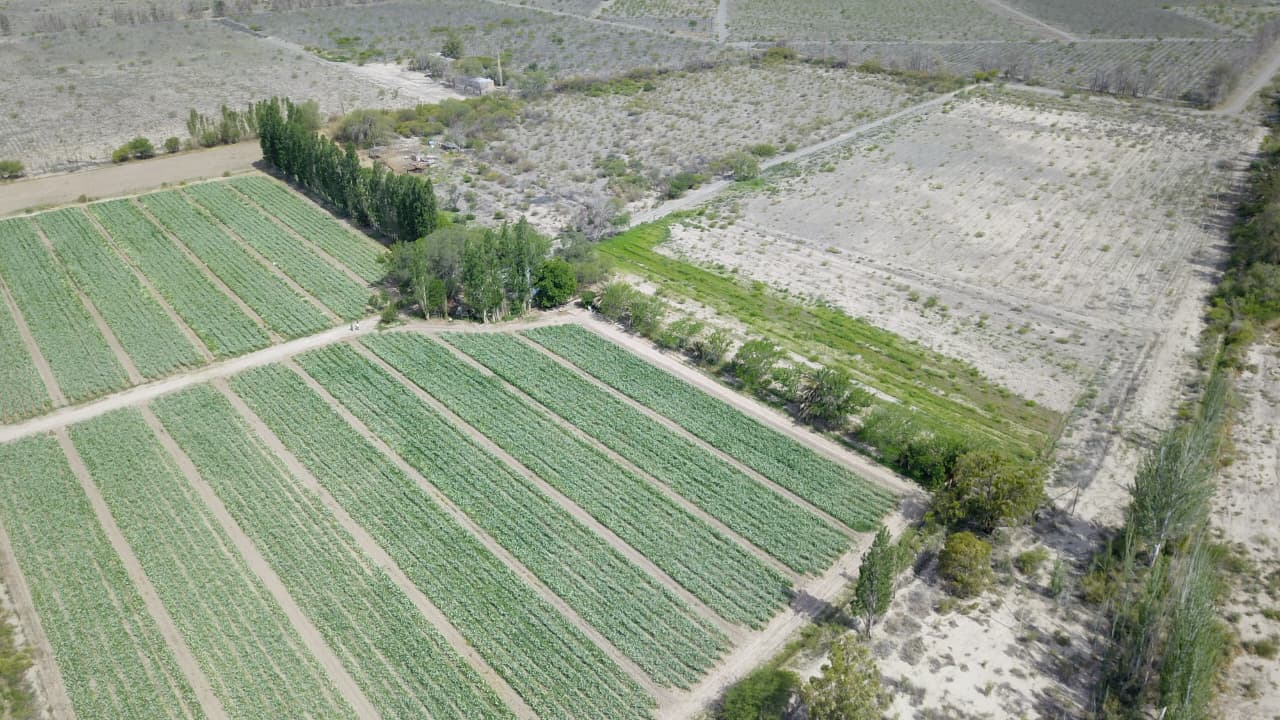 venta de 6 hectareas en zonda, san juan argentina