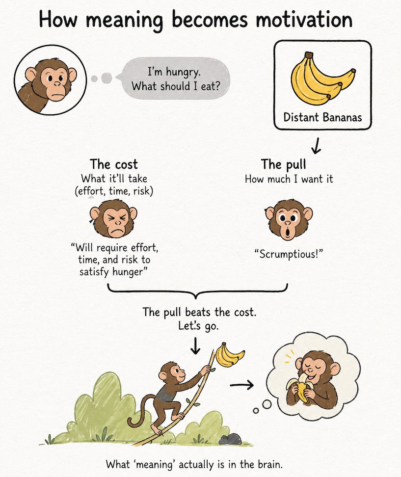 A rephrased example from Journey of the Mind