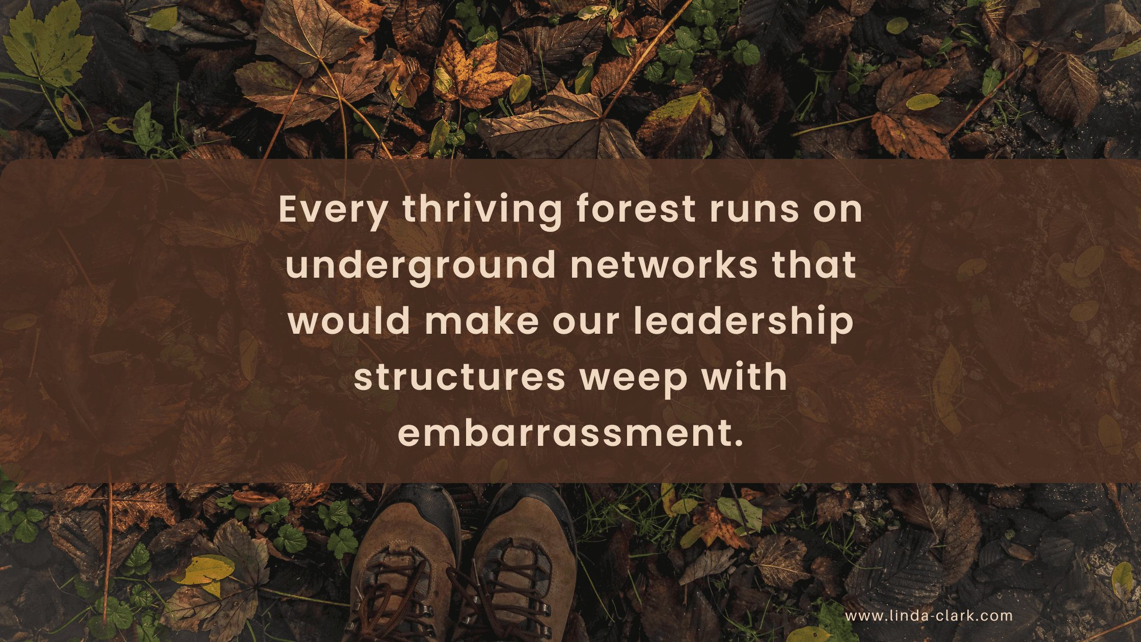A photo of a forest floor covered in leaves and looking down at your boots in the leaves. The title of the blog post is on a brown background and says Leadership Recovery: From Guardship to Guideship | Linda Clark