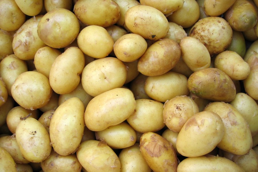 Riscaldare le patate al microonde