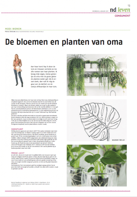 maisonbelle-wooncolumn-kamerplanten-nd