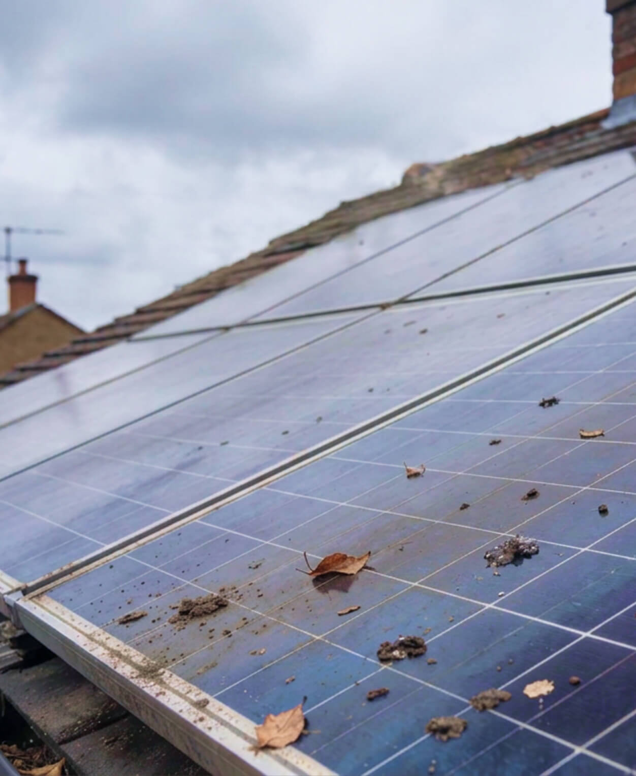 Solar panels covered with dirt and debris requiring professional servicing in Leeds