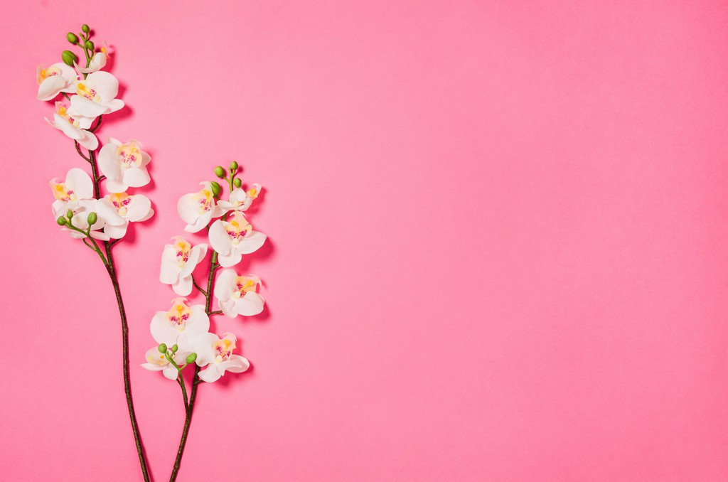 Millennial Pink for marketing