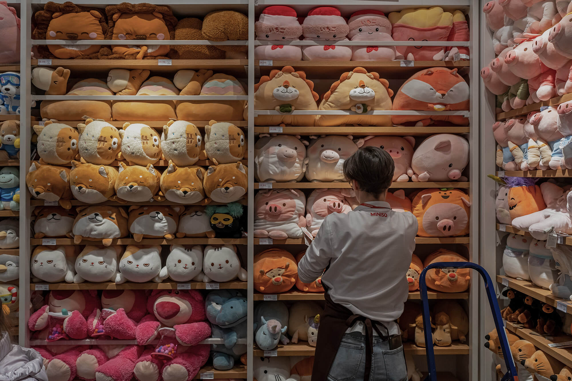Modern living room with large windows overlooking trees