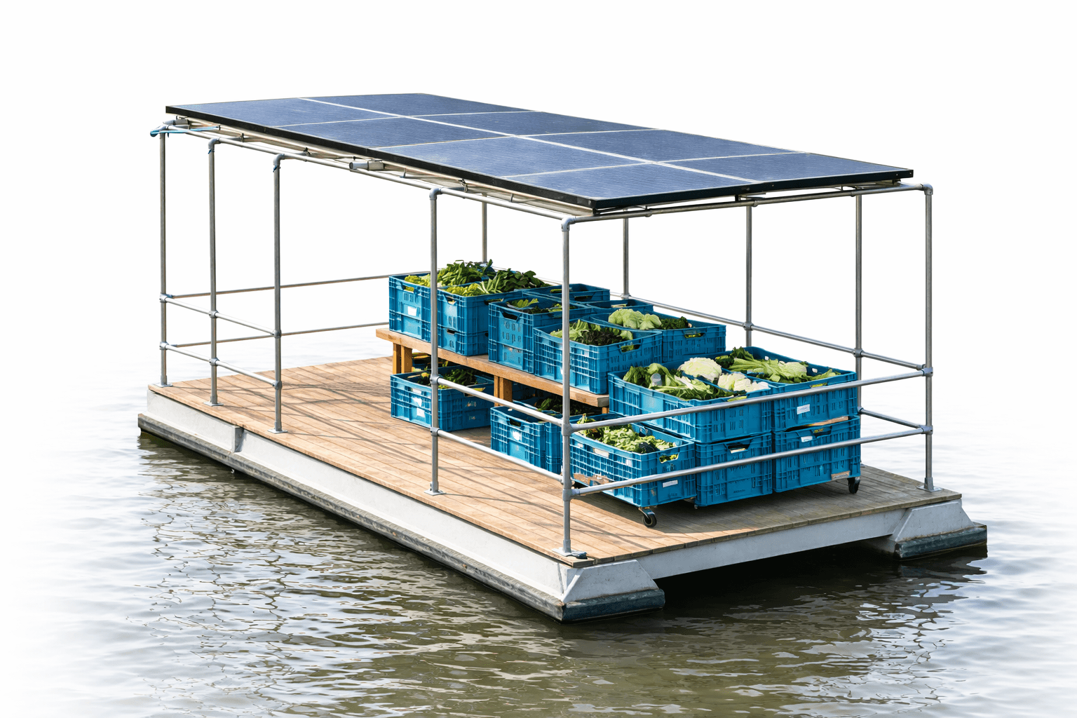 Close-up of a tree stump showing growth rings and a textured brown wood surface.