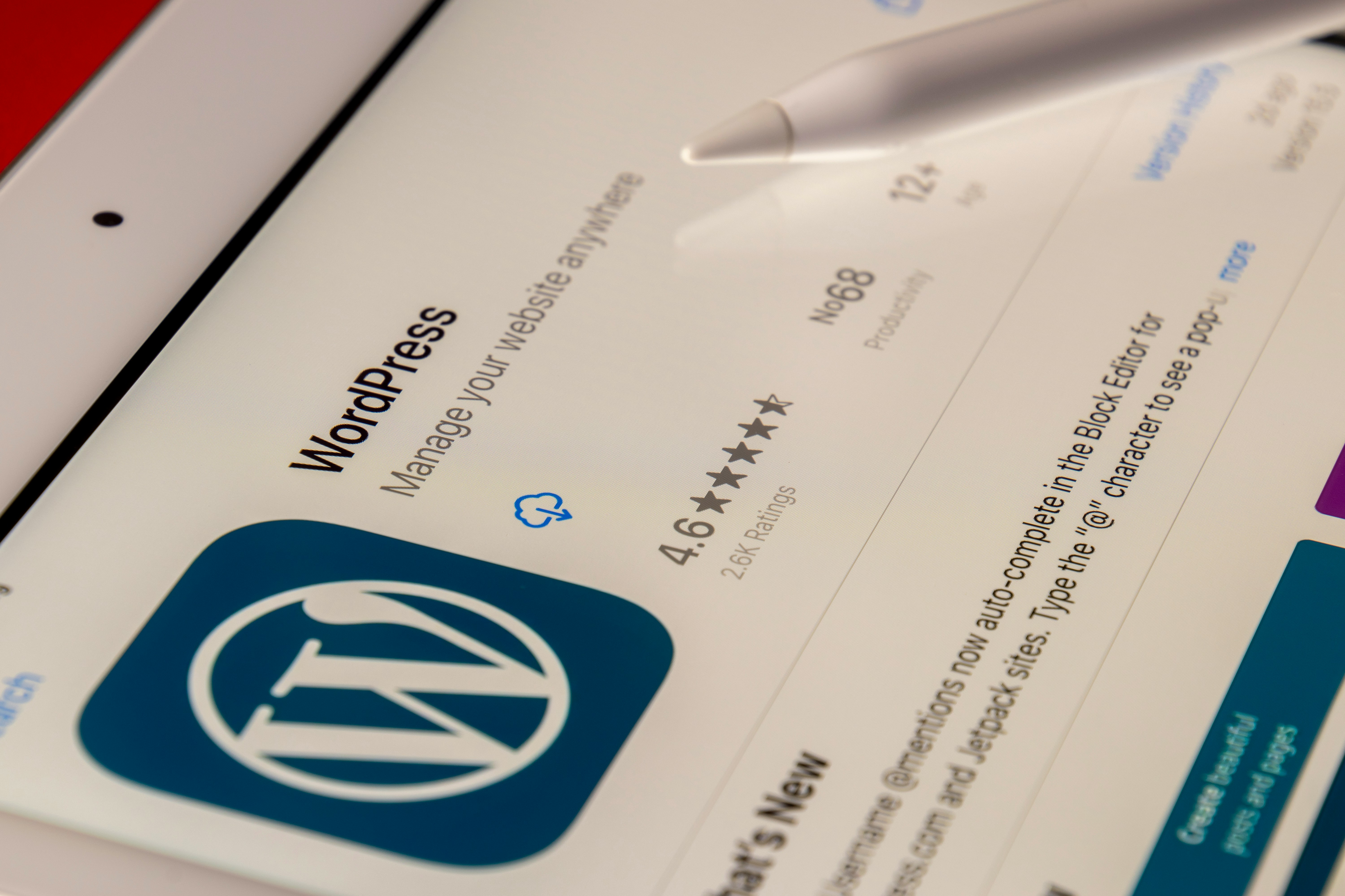 wordpress install