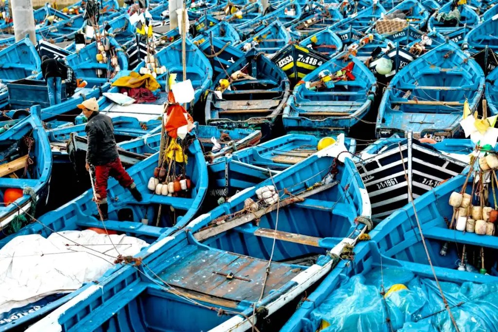 boats in essaouira