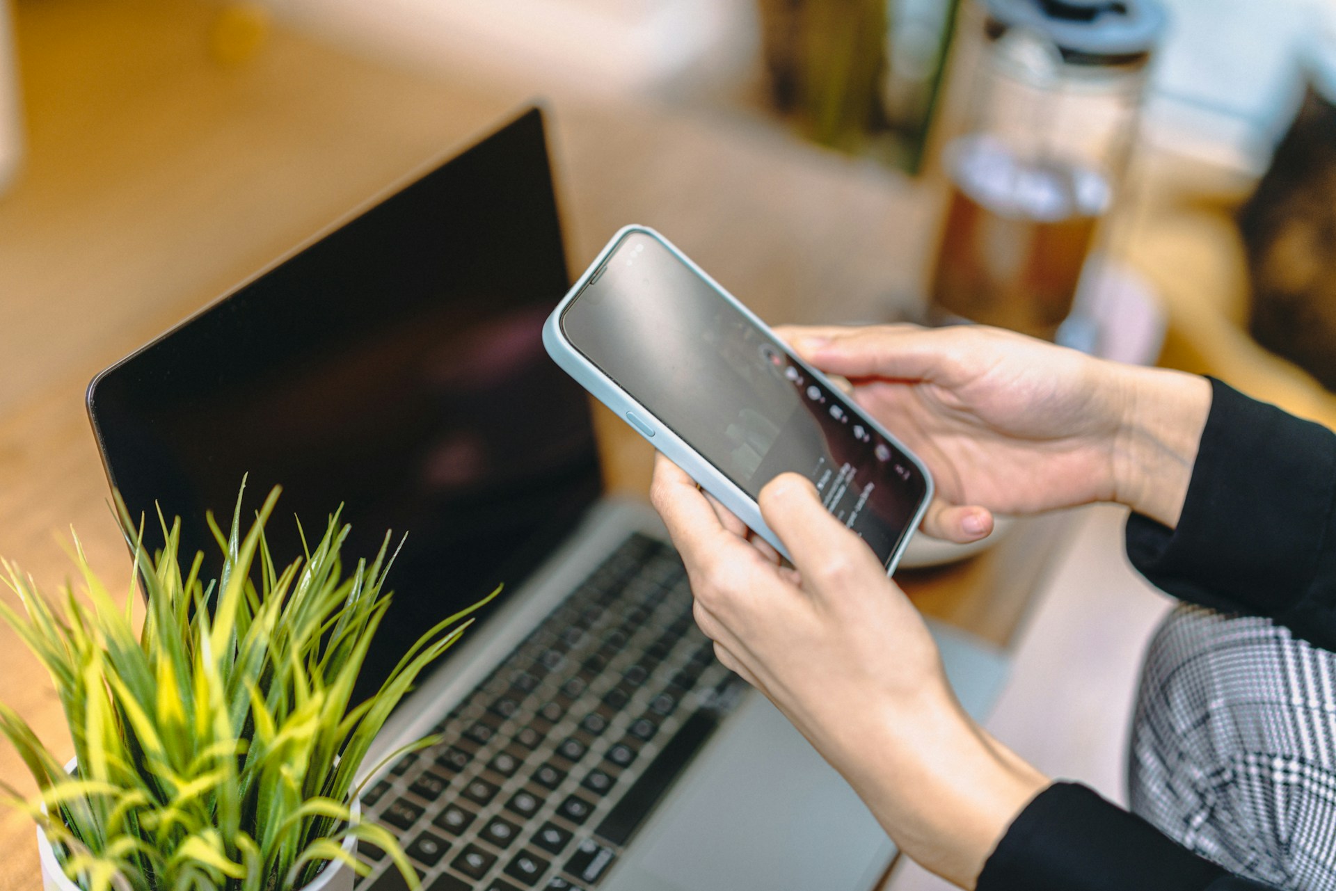 A person is holding a light blue-cased smartphone and looking at the screen, with a laptop and a green houseplant visible in the blurred background.