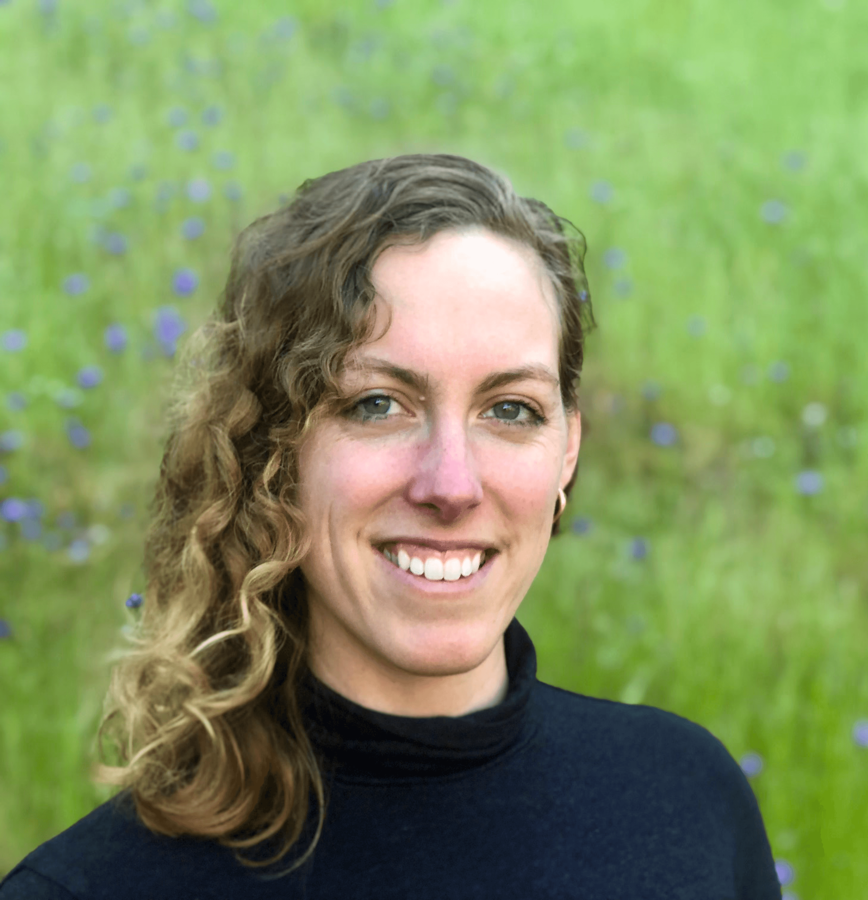 The image featured in the middle of the about us page