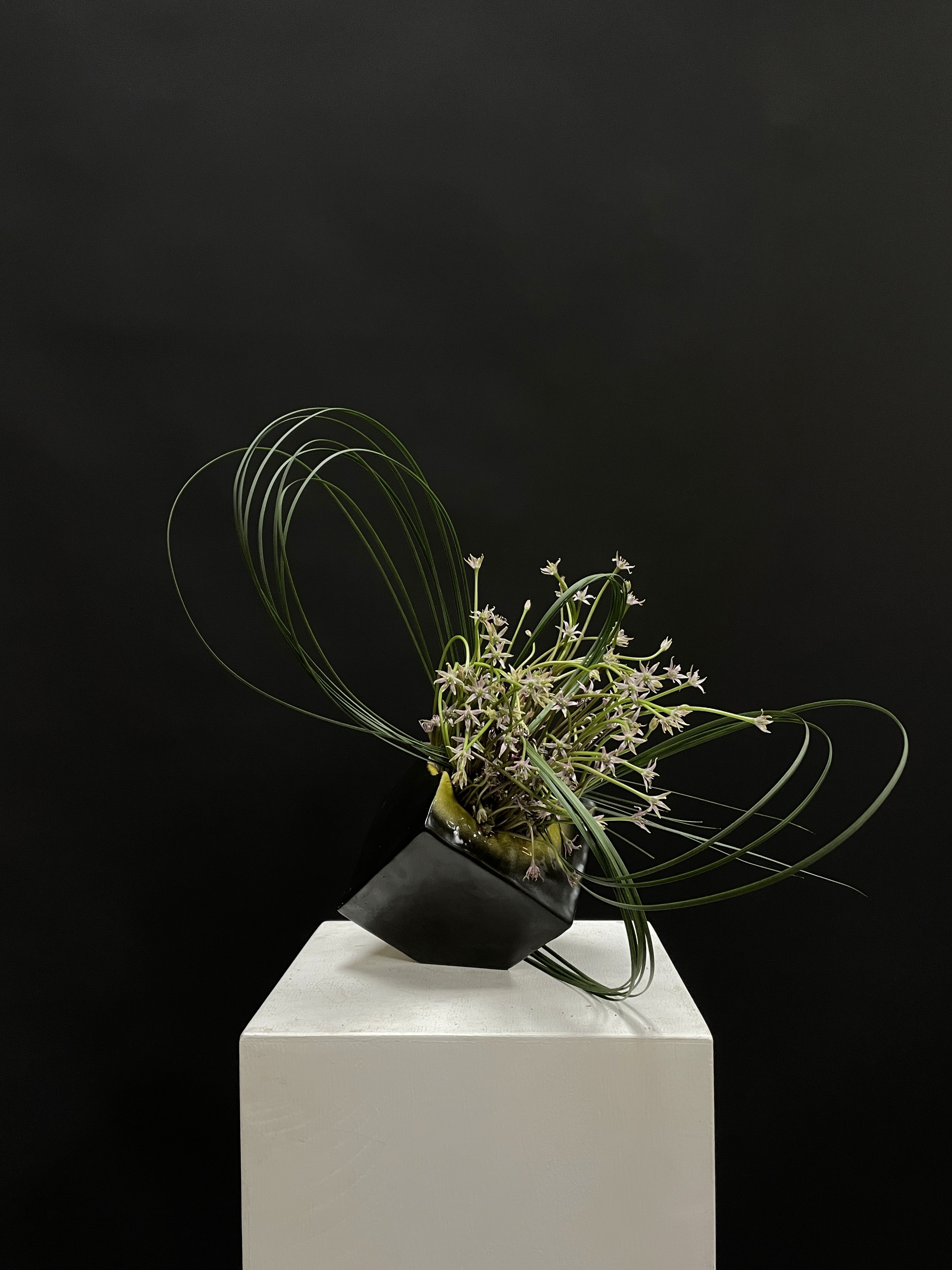 Japanese bed table with a plant