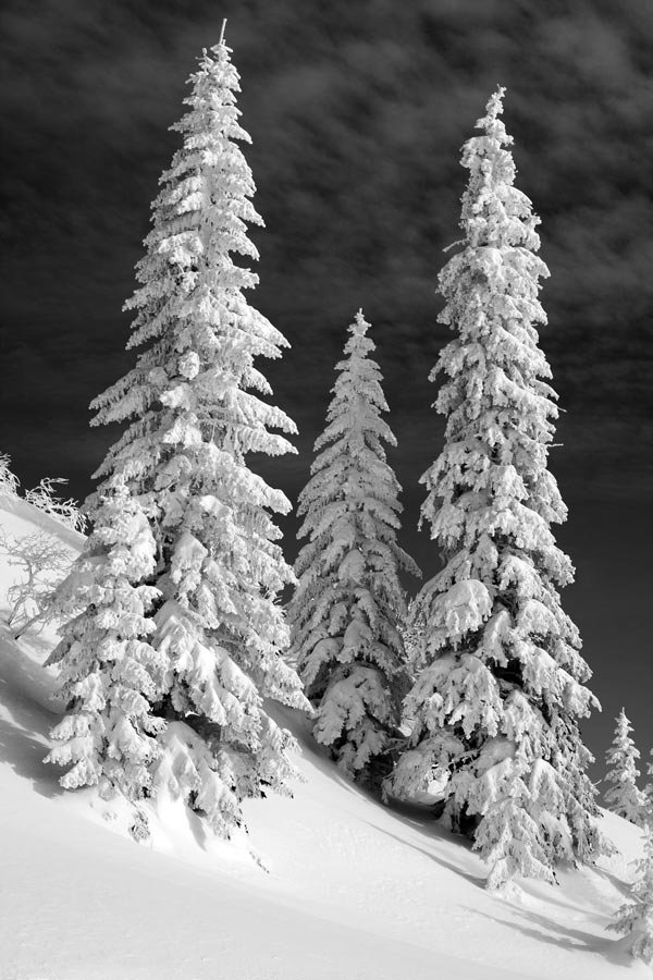 Executive airplane charter to Sarajevo - Baščaršija bazaar and Ottoman heritage