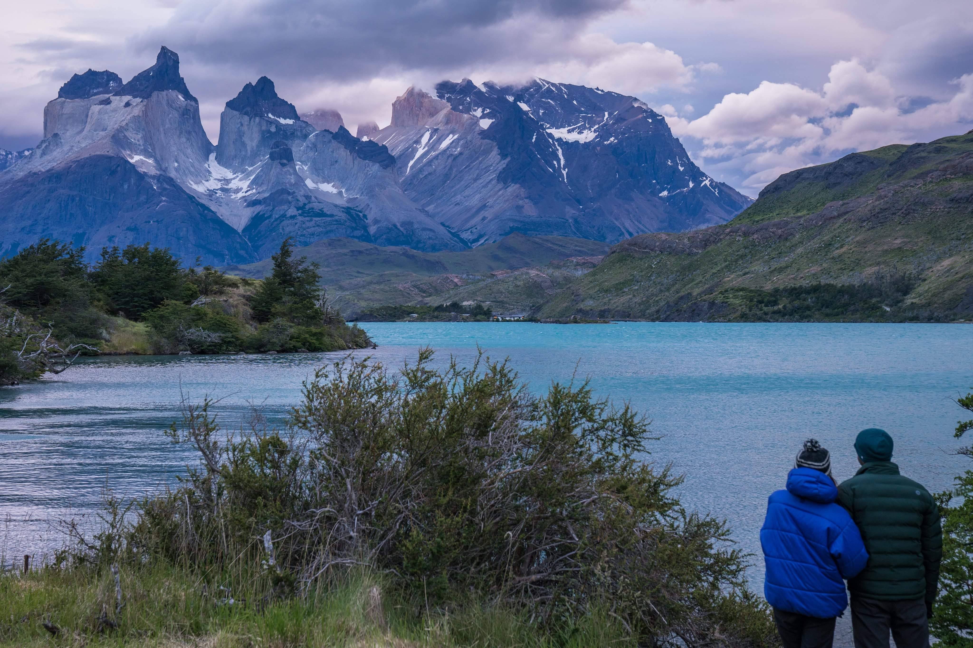 Dog sitting on gravel path