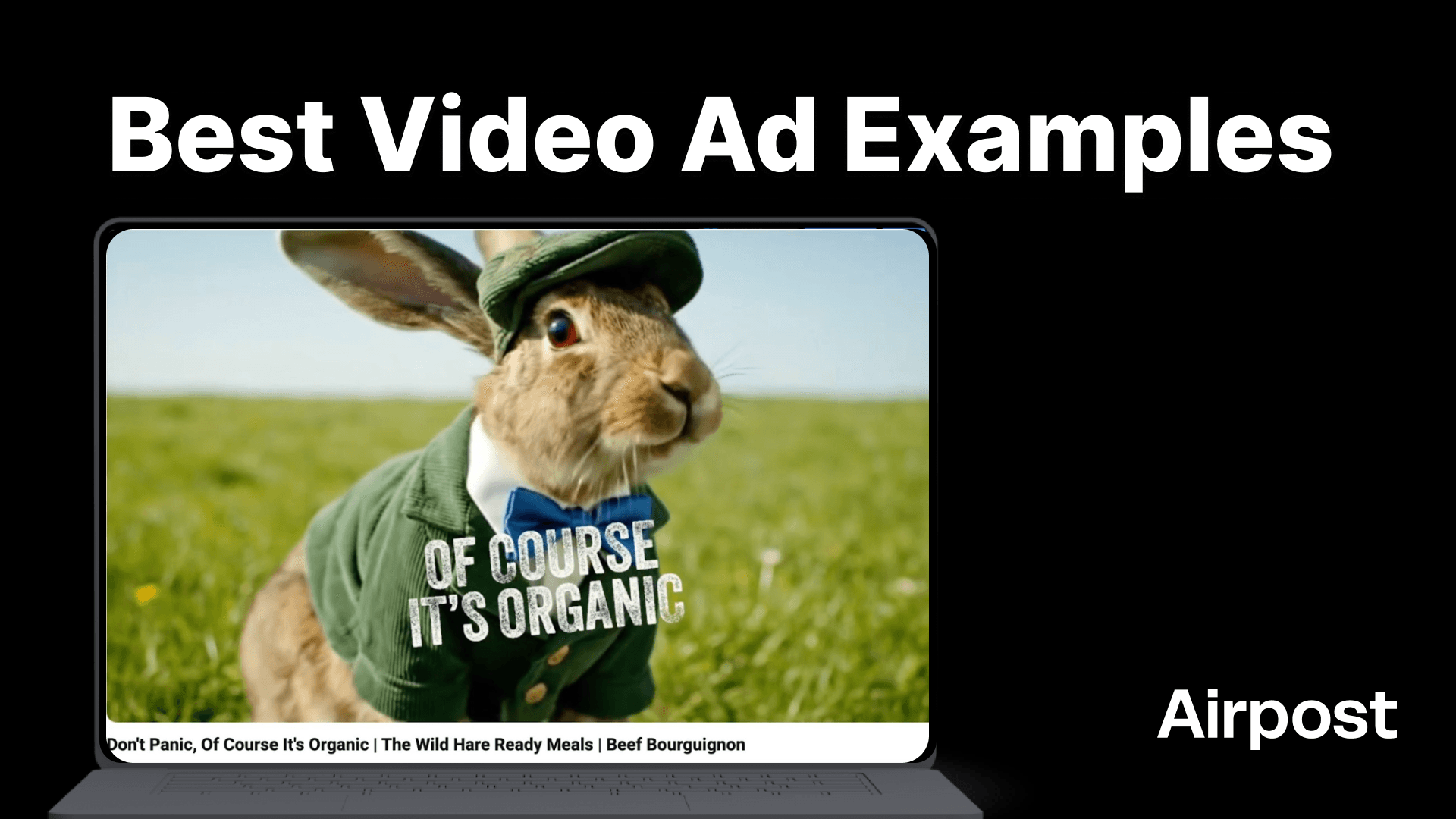 Best Video Ad Examples