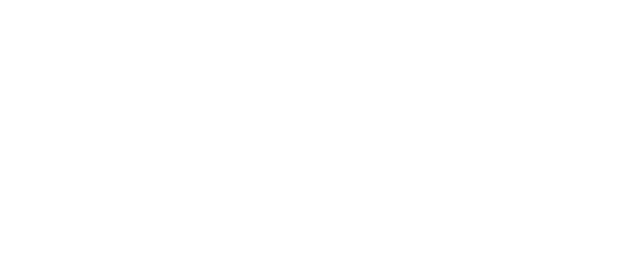 Boutique Care Homes logo