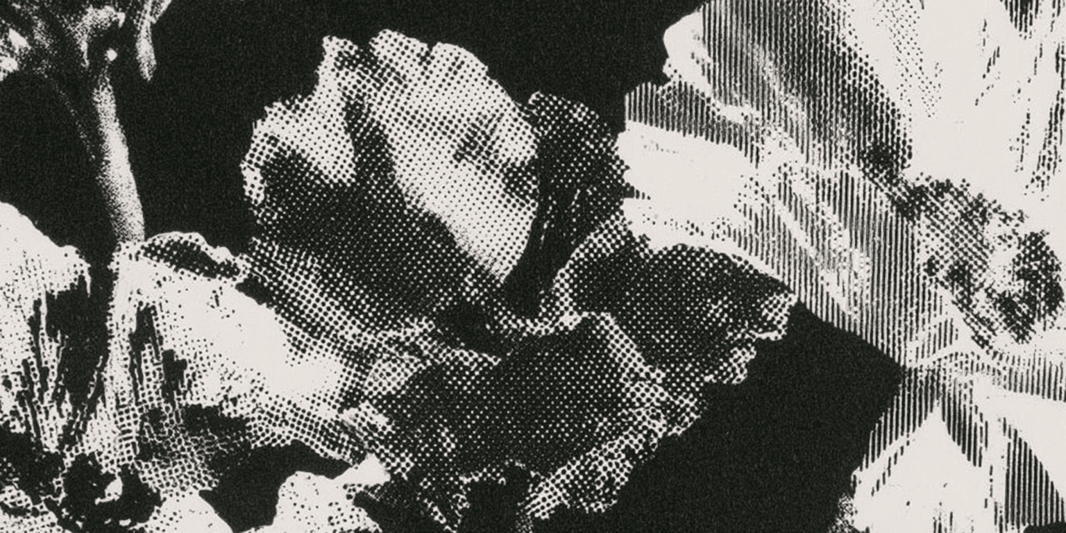 A halftone image of flowers