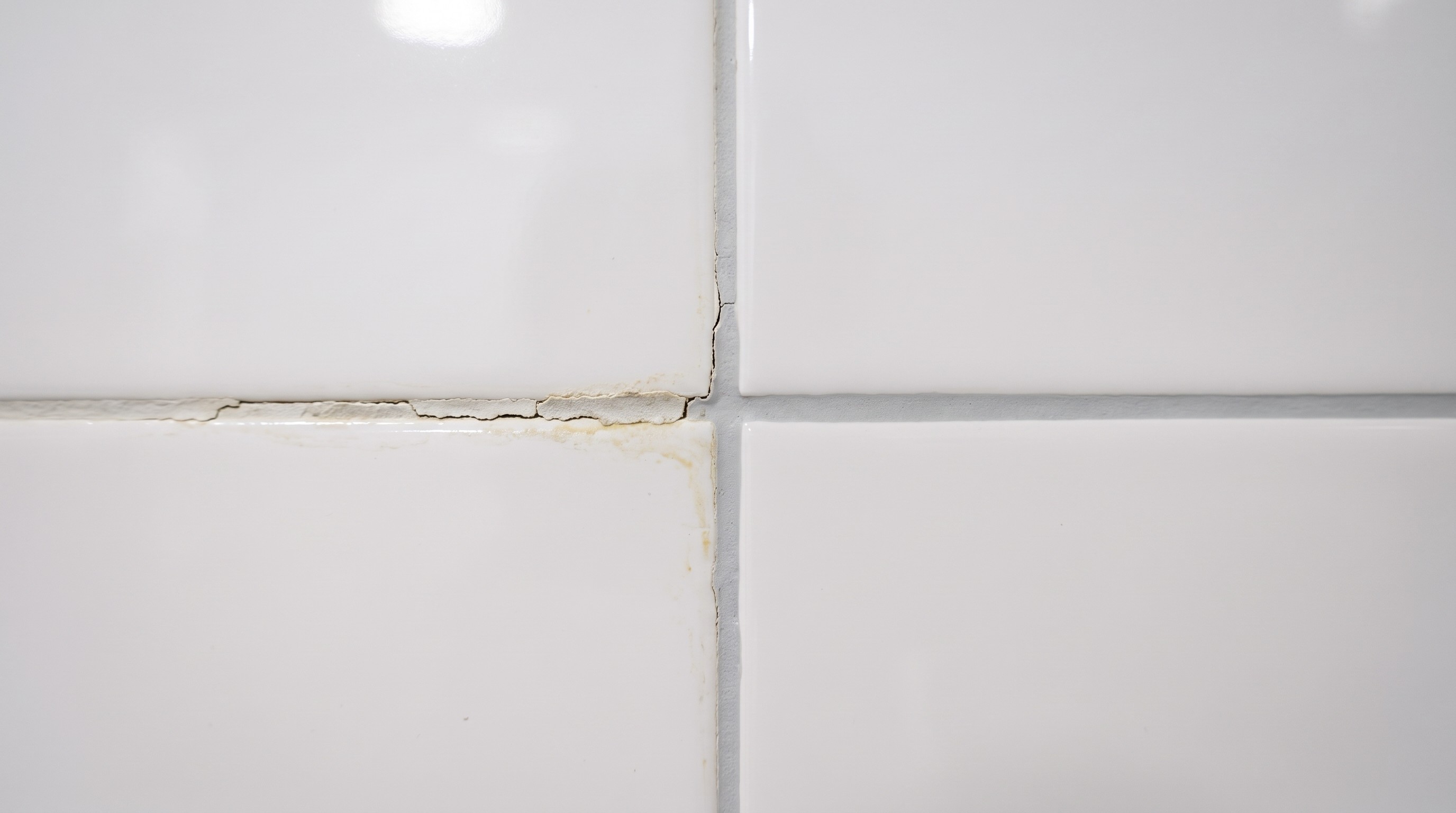 Grout Repair Dubai: When to Fix It and When It Can Wait
