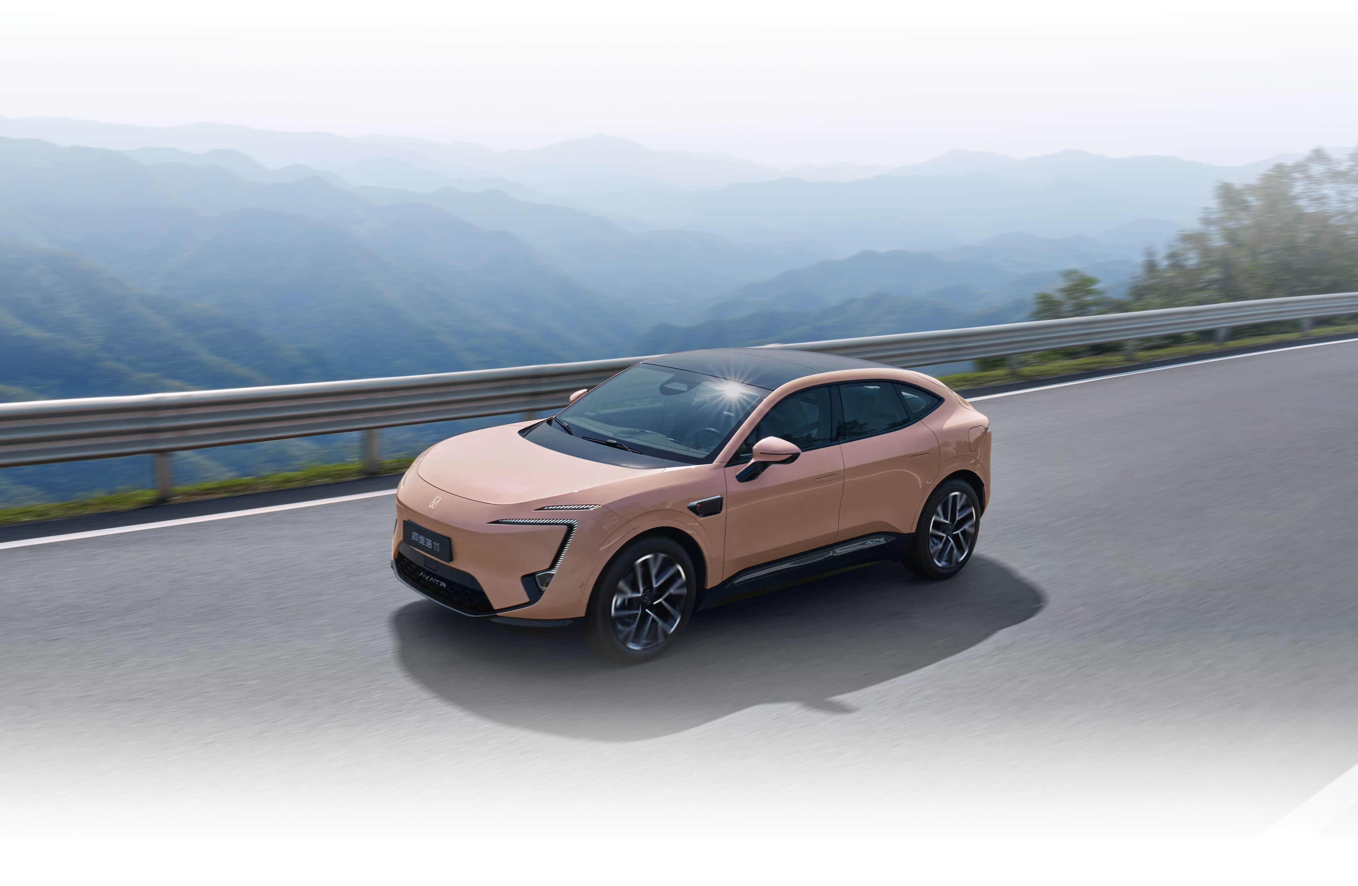 Project Content Image - 4