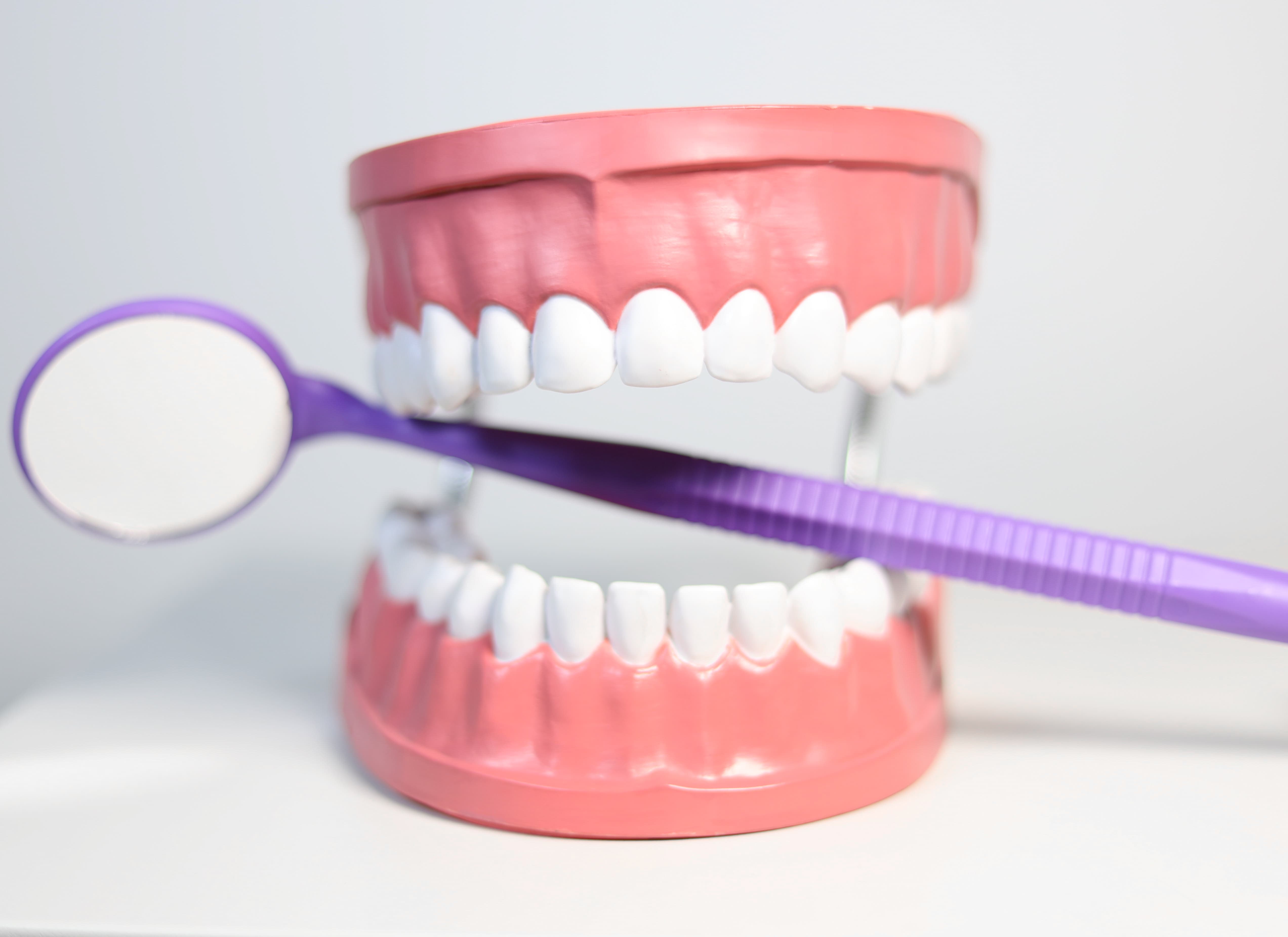 Kinderzahnarzt-Modell