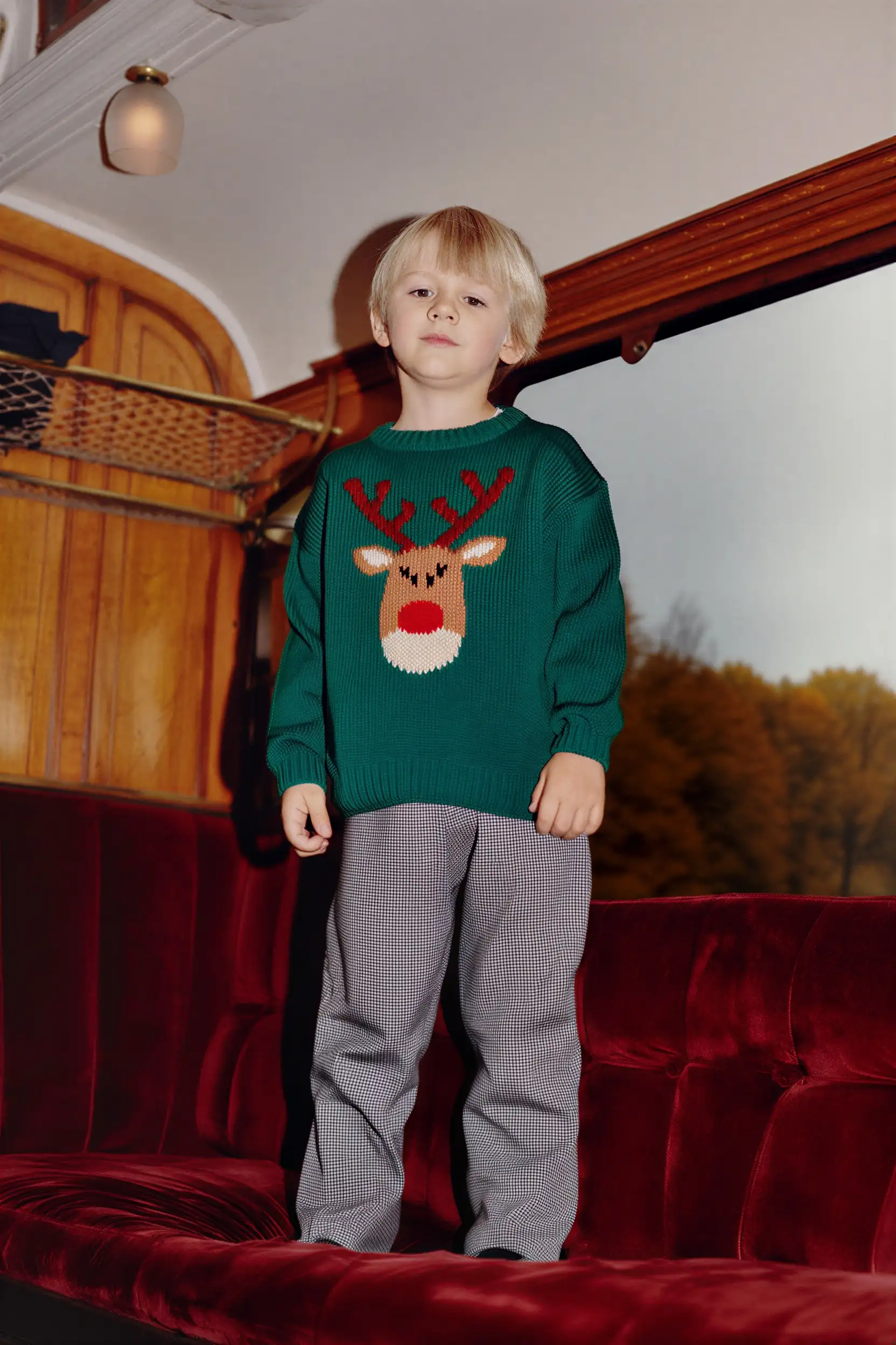 Close-up view of brown animal fur texture.