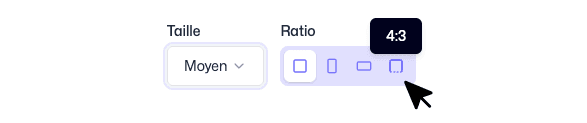 Fanzone component format option