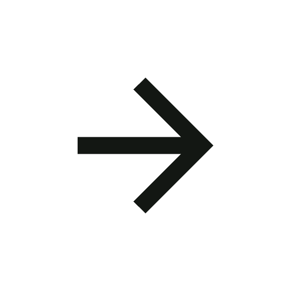 Next Arrow