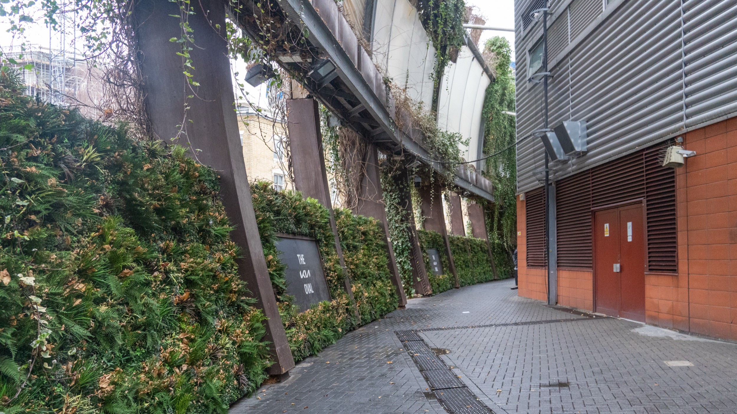 Two classic volkswagen beetles, one green, one cream.