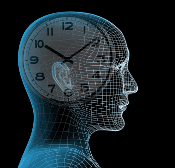 brain clock