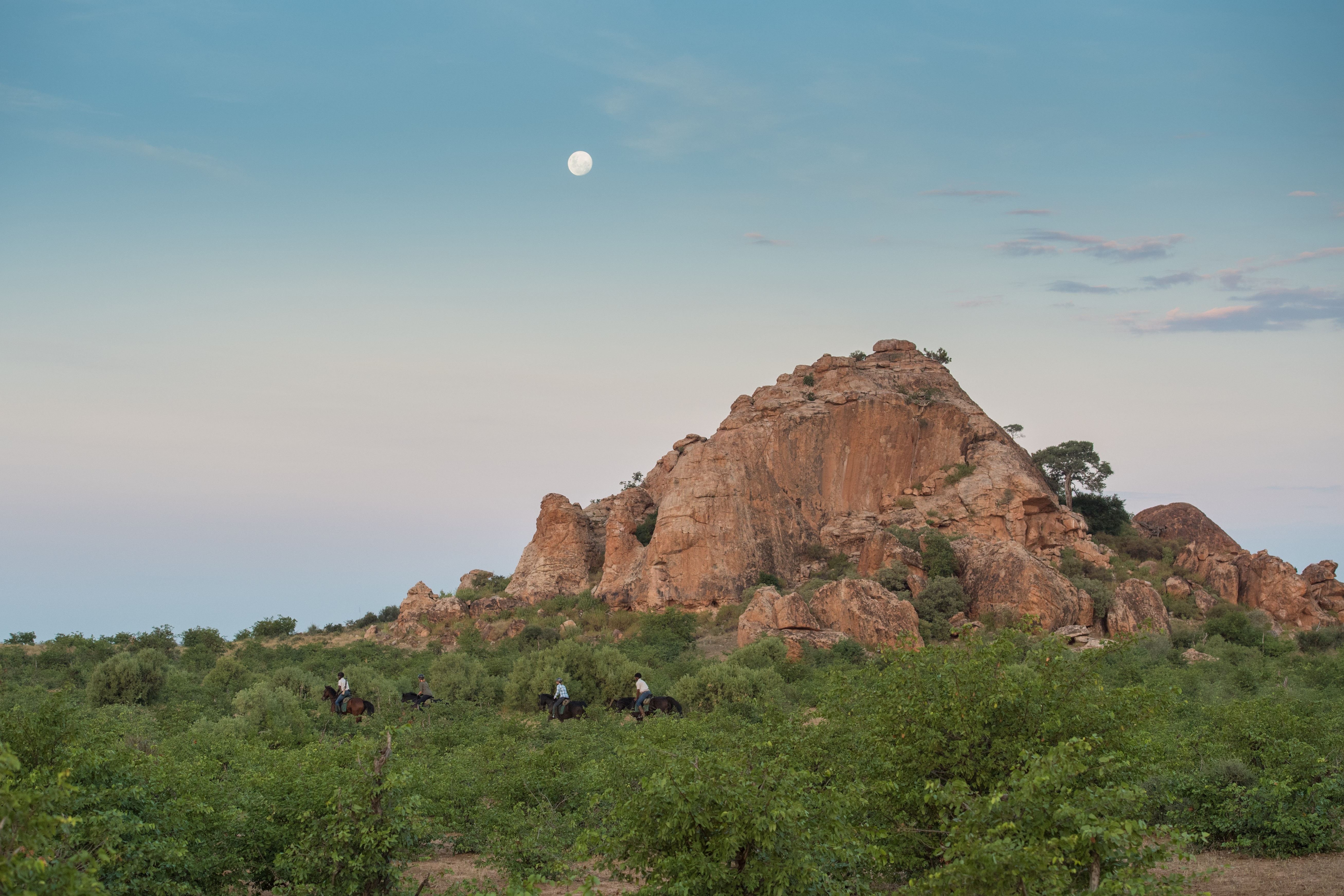 Tuli Safari, Botswana. Ryttare rider genom landskapet i kvällsljus under månens sken – ett oförglömligt ögonblick på ridresa i Botswana.