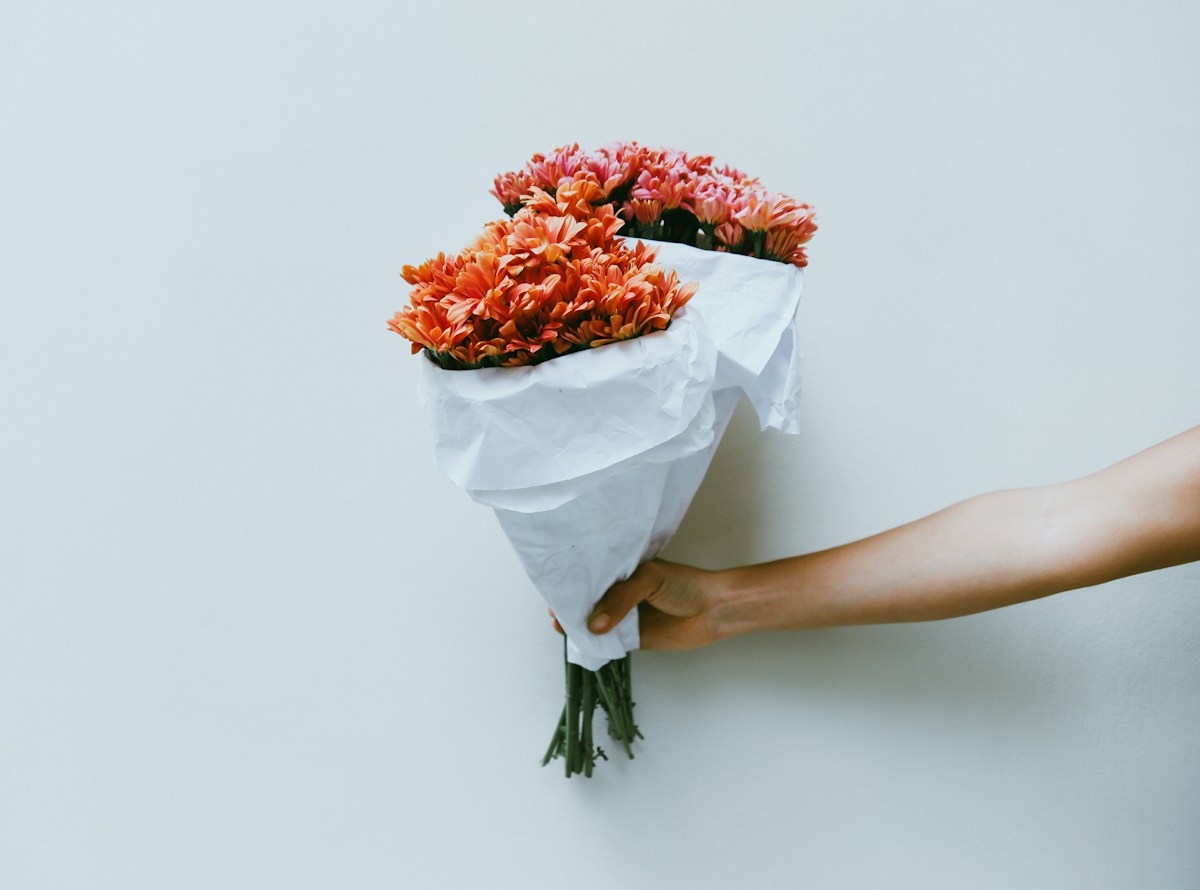 Person holding red flowers