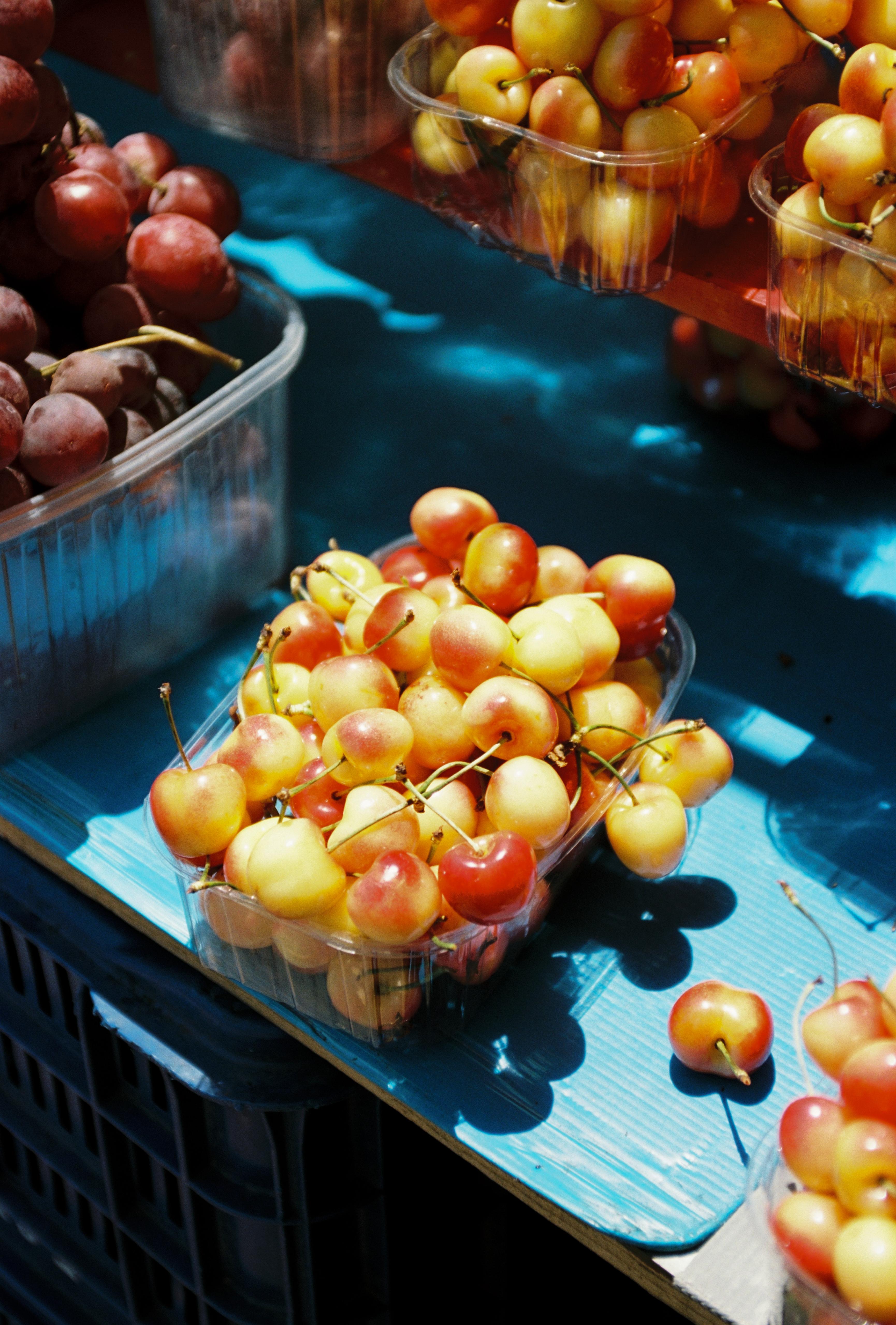 Sour cherries in Greece