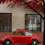 Atsiliepimas apie paslaugas