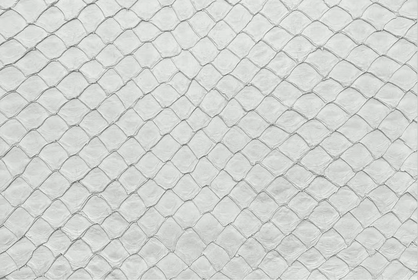 Pirarucu hide in white color