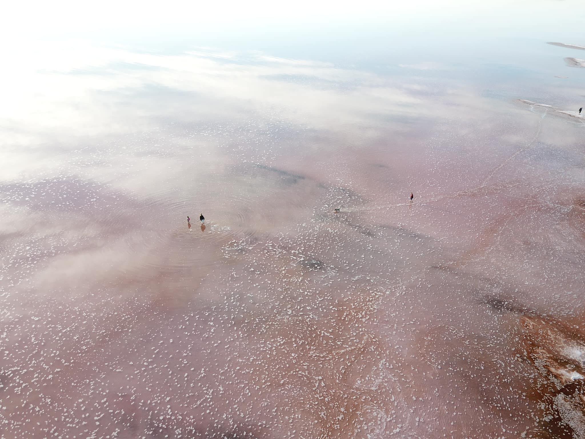 a black and white photo of a sign that says coming soon