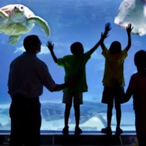 Go City Philadelphia: Explorer Pass tickets in Philadelphia