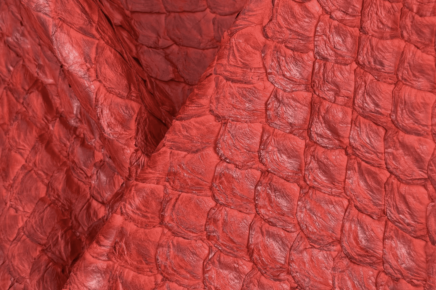 pirarucu hide in red color