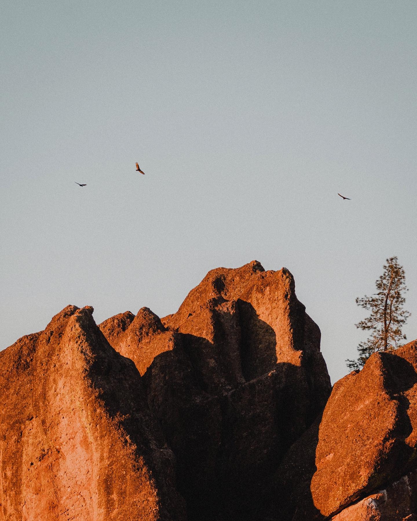 The intricate rock formations of Pinnacles National Park.