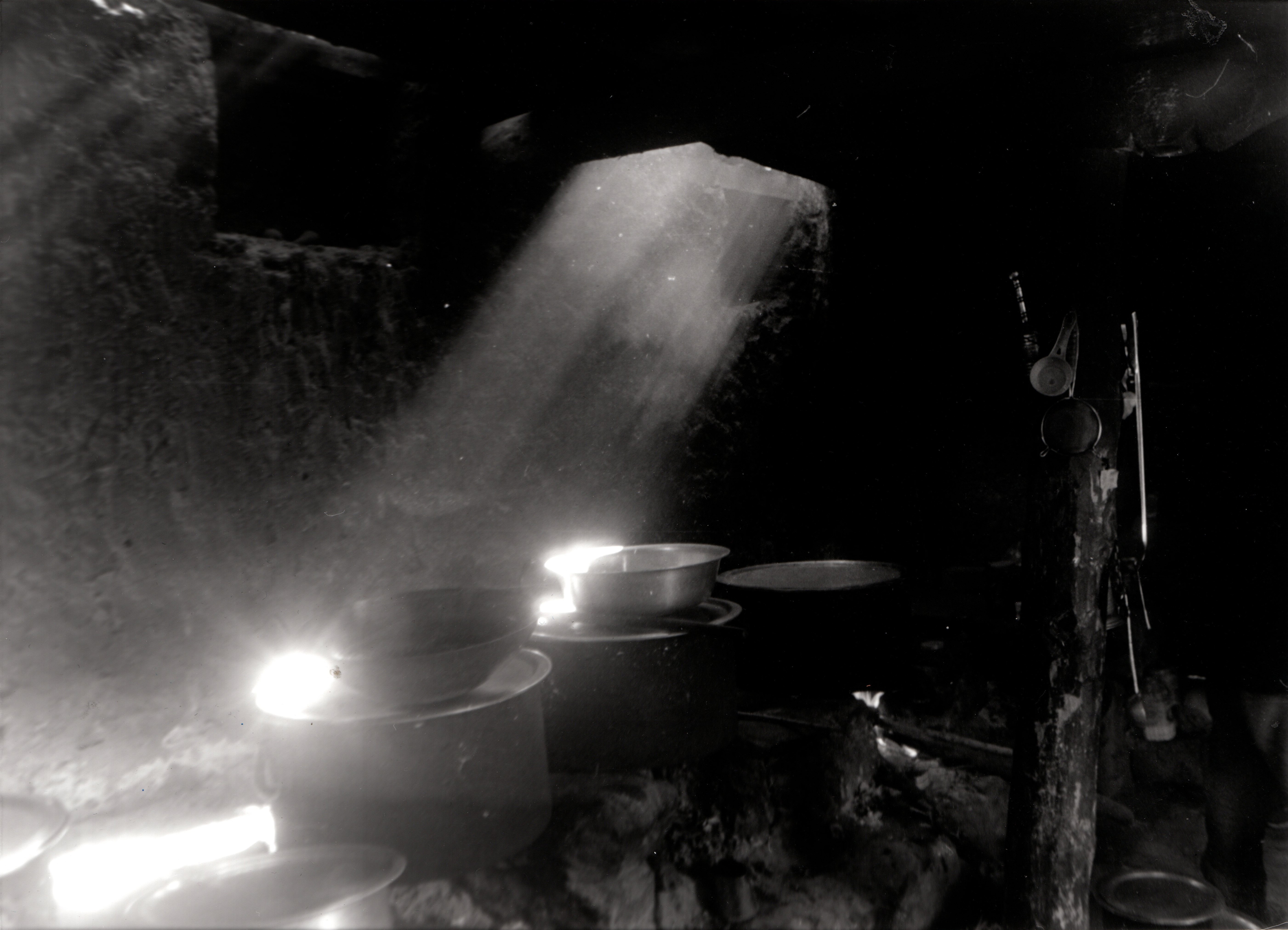 herd of sheep on road painting
