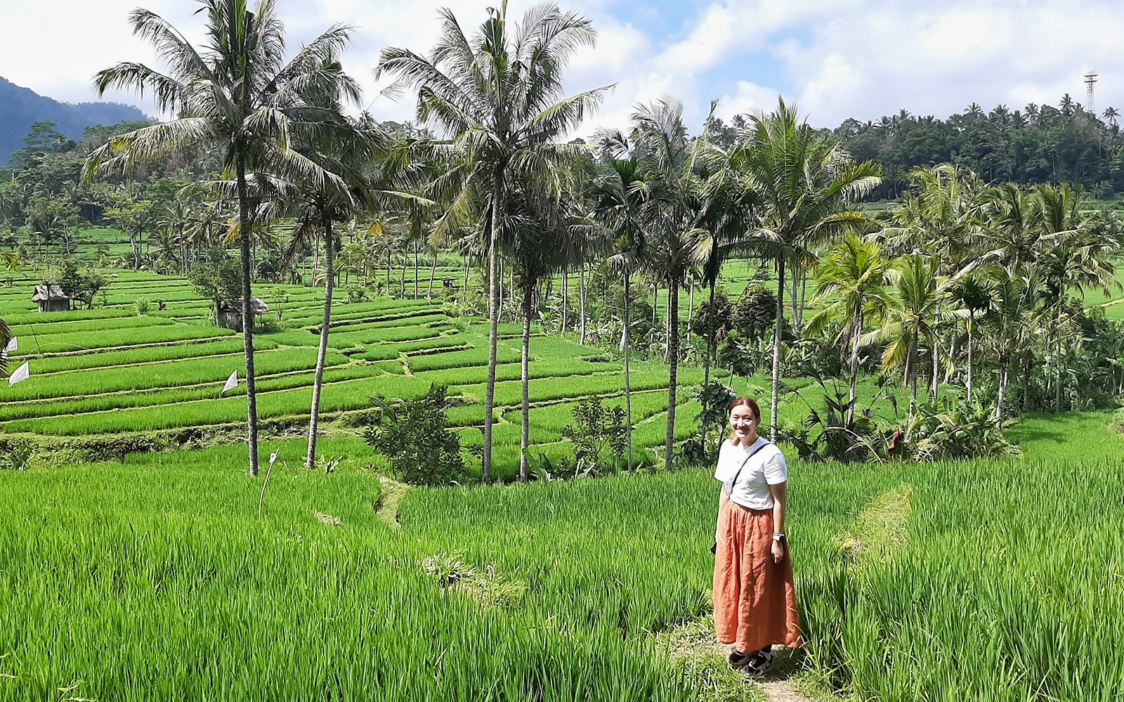 Person standing in Bali's lush Ubud rice terraces with palm trees in the background.