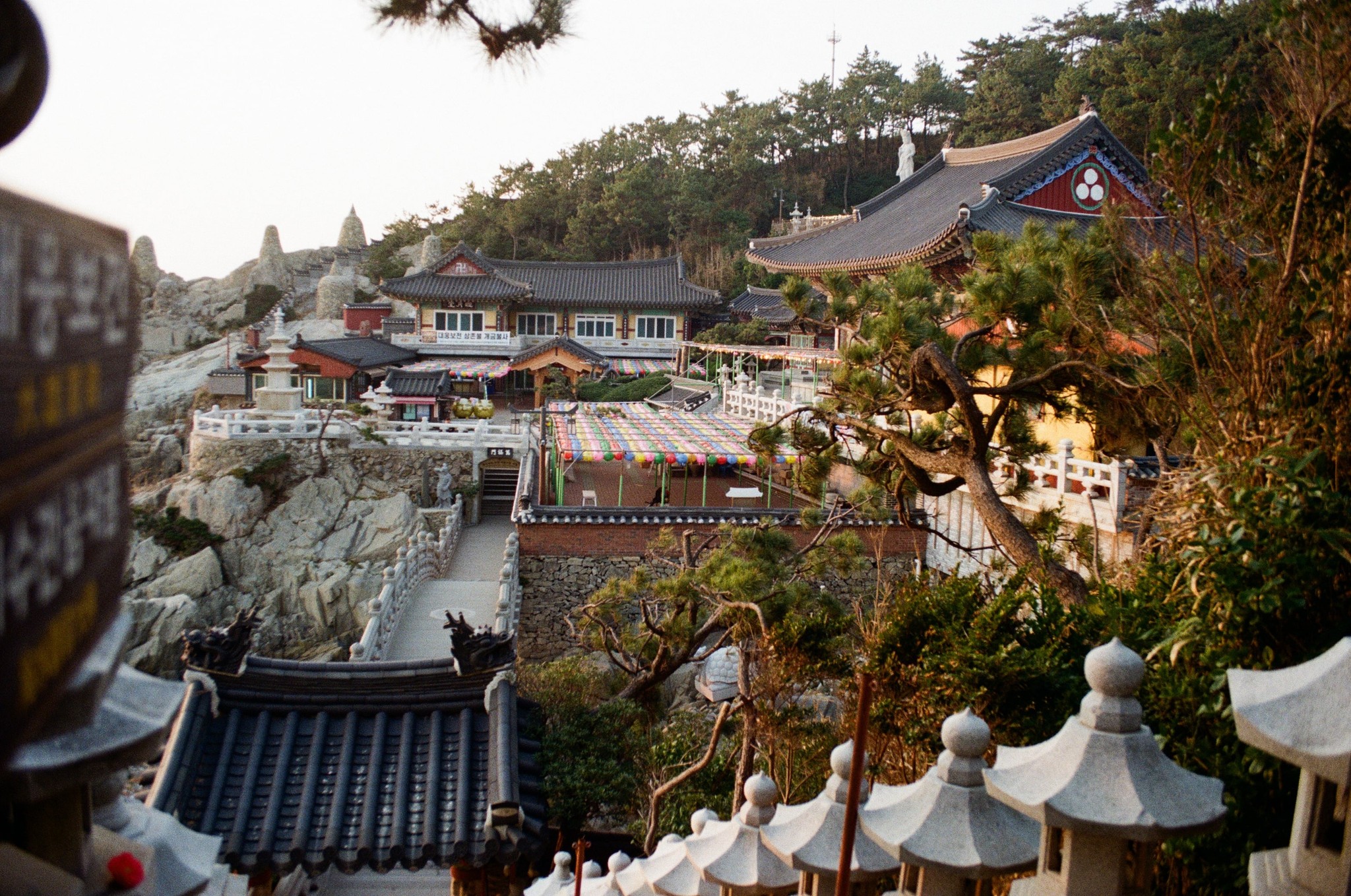 déguisement yanni terki