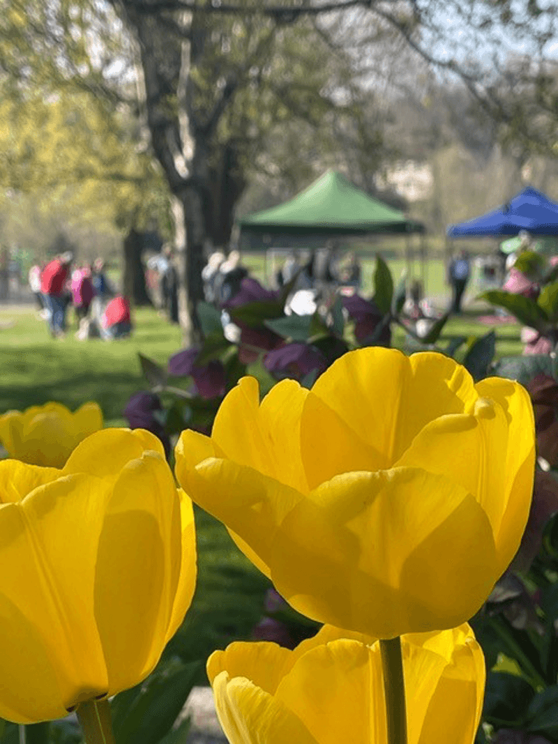 Support Your Park's Future