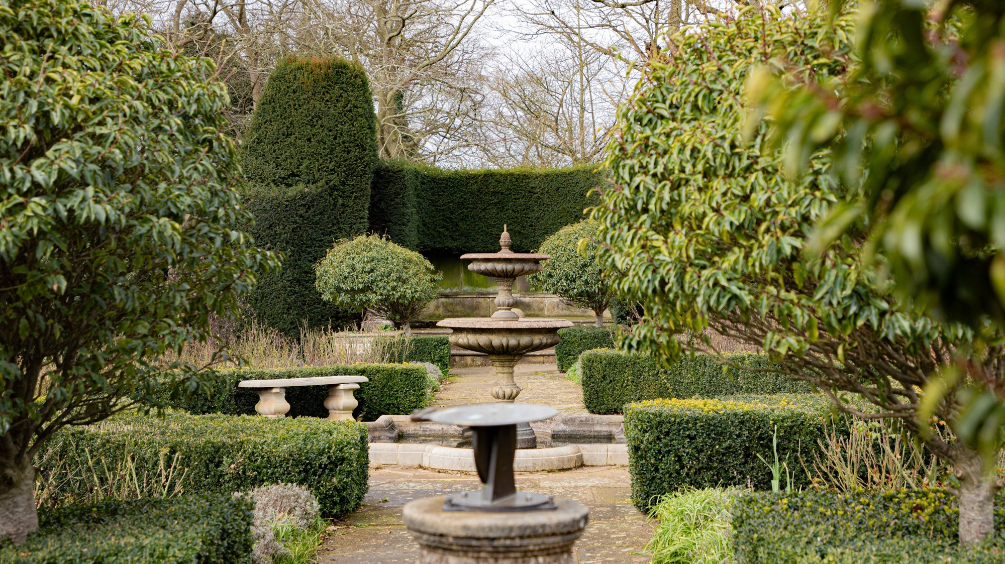 Two classic volkswagen beetles, one green, one cream.