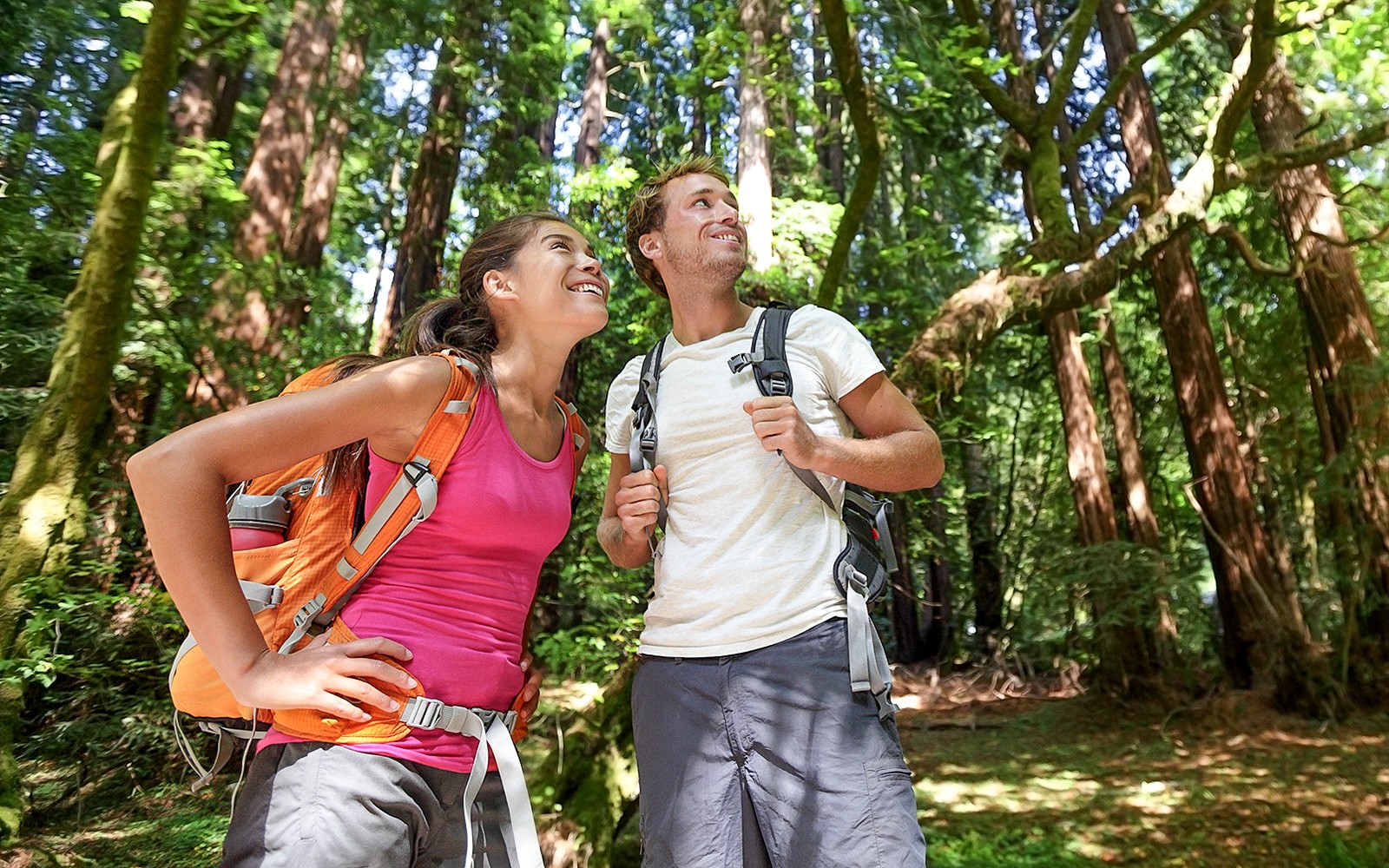 Pasangan mendaki di Muir Woods, bagian dari Tur Alcatraz dengan Sausalito.