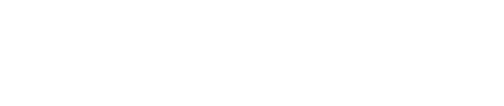 Veloce IPDL Logo