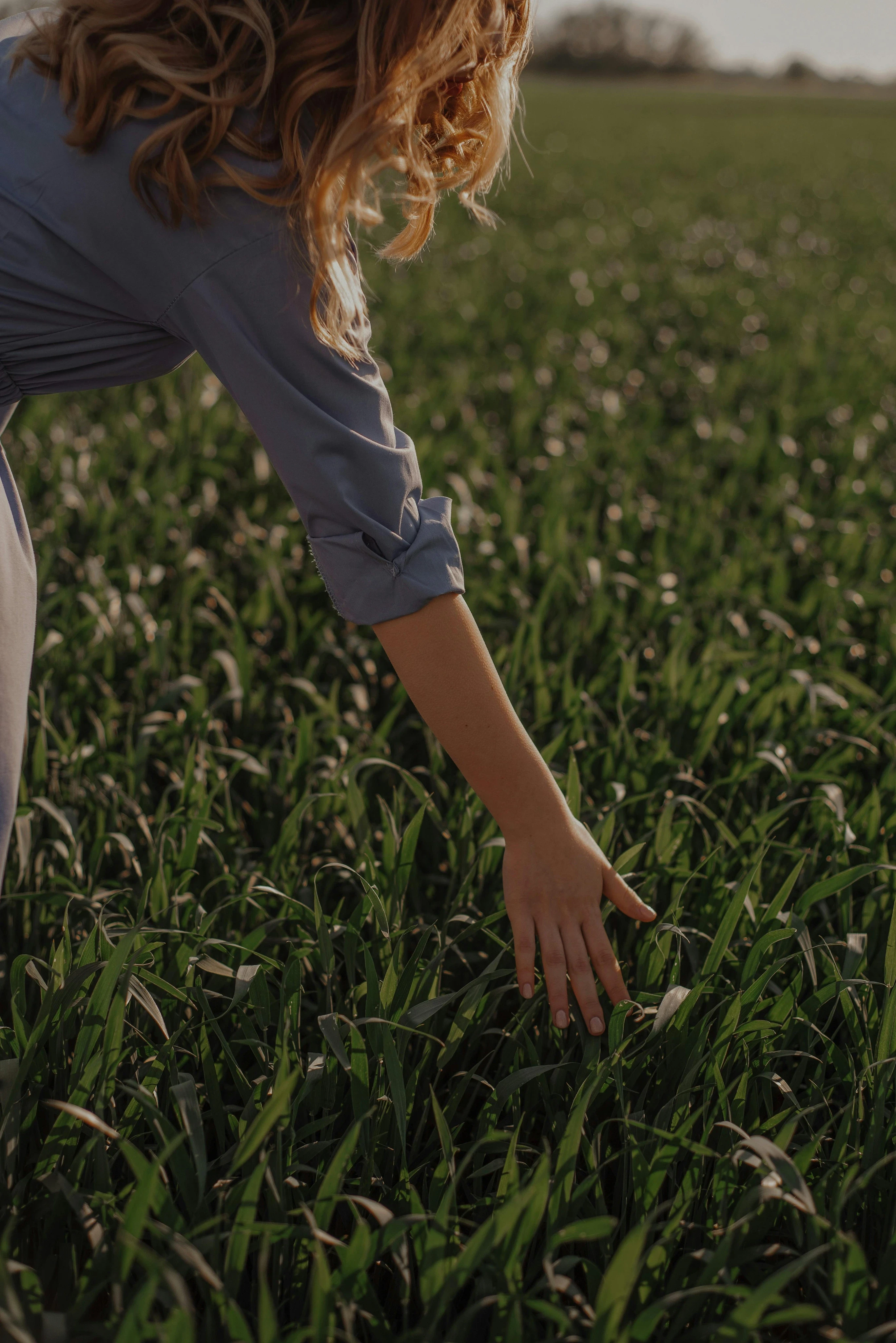 Human Touches Green Grass