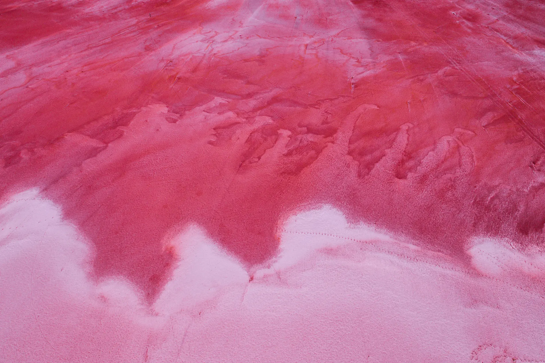 Aerial looking down on vivid pink brine meeting white salt crust