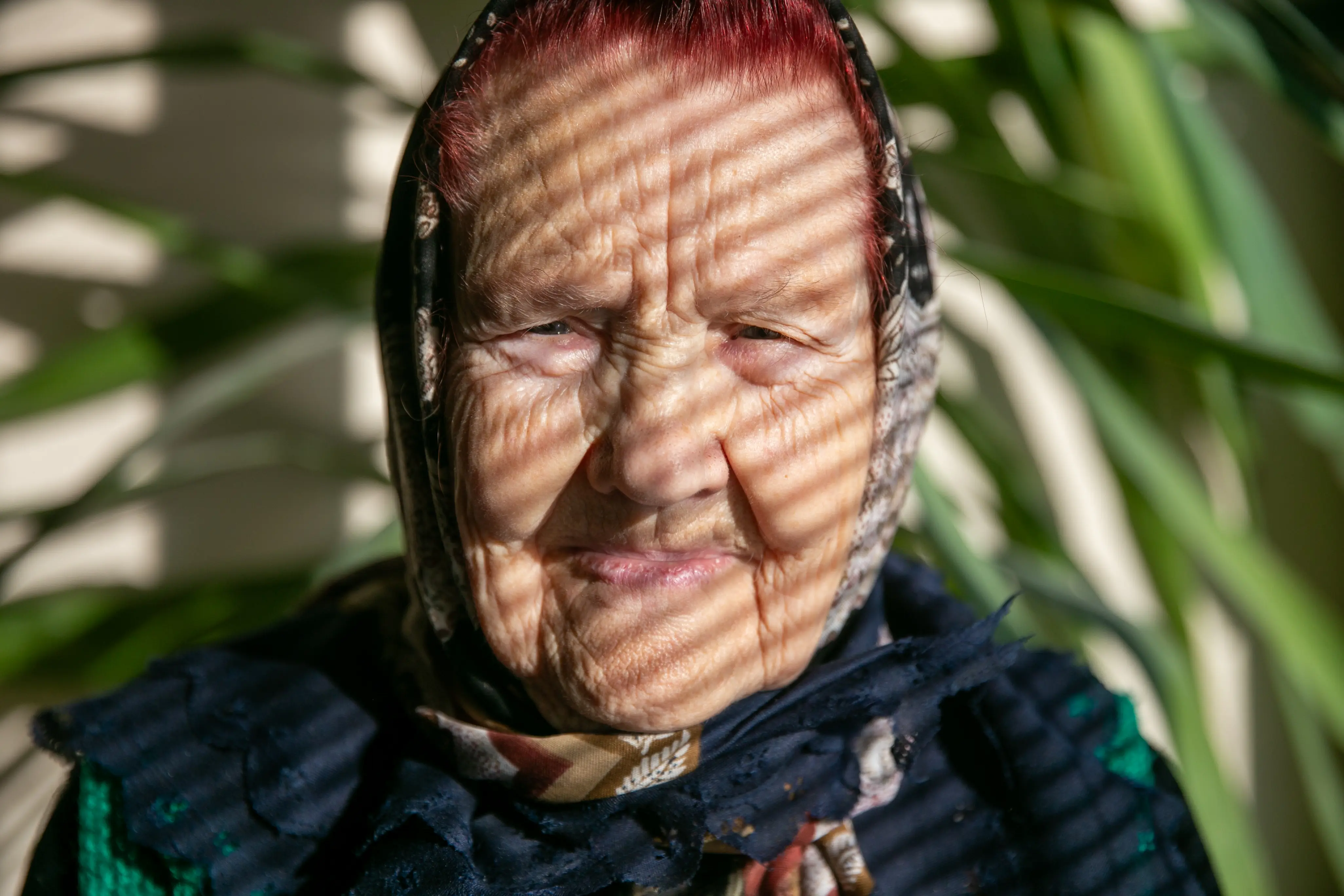 Starsza kobieta z siwymi włosami, ubrana w chustkę i sweter, siedzi w oświetlonym wnętrzu. Na jej twarzy widać cienie rzucane przez żaluzje. W tle widoczne zielone liście roślin.