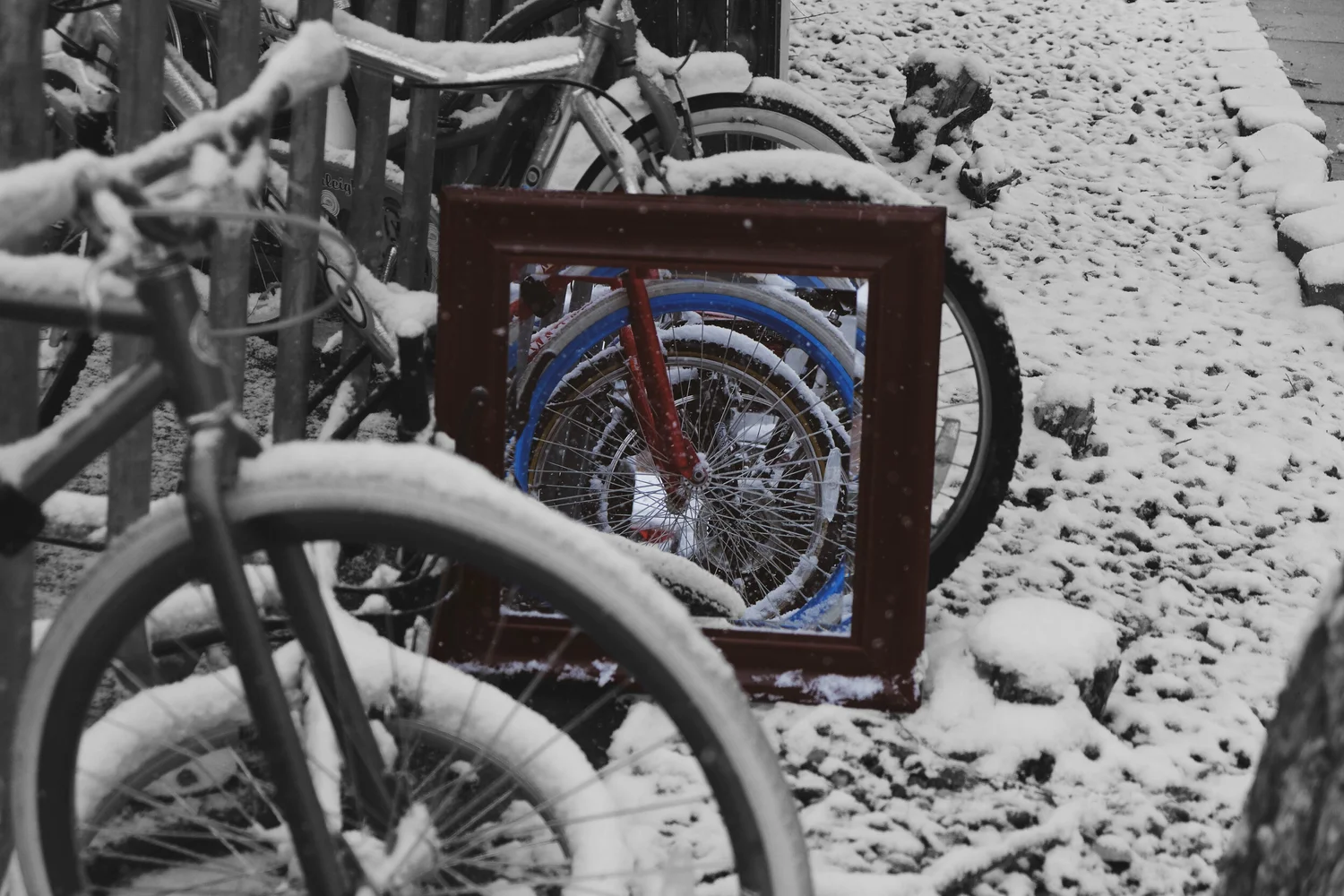 Life photograph