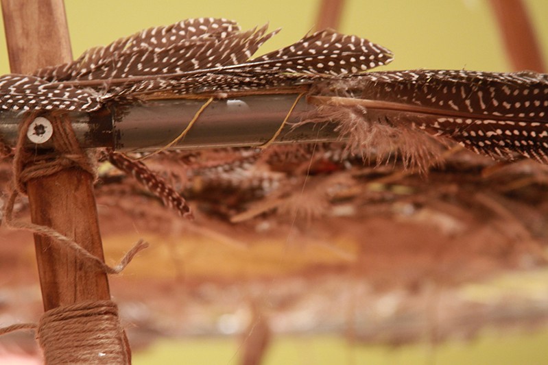 feathers attached to rods