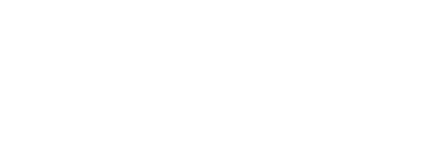 Artist and Investor Steve Aoki Logo